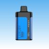 Fizzy Luxury 15000 Puffs | E cigi bolt Fizzy Luxury 15000 Puffs | E cigi bolt