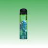 Randm Tornado 8000 Slukk | E cigi bolt Randm Tornado 8000 Slukk | E cigi bolt