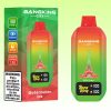 Bang King City 50000 Puffs | E cigi bolt Bang King City 50000 Puffs | E cigi bolt
