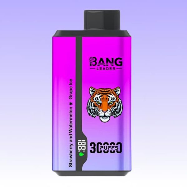 Bang Leader 30000 Puff | E cigi bolt Bang Leader 30000 Puff | E cigi bolt