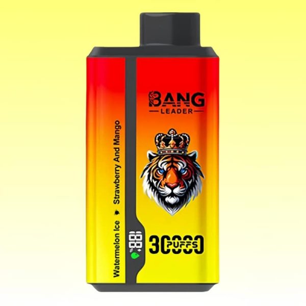 Bang Leader 30000 Puff | E cigi bolt Bang Leader 30000 Puff | E cigi bolt