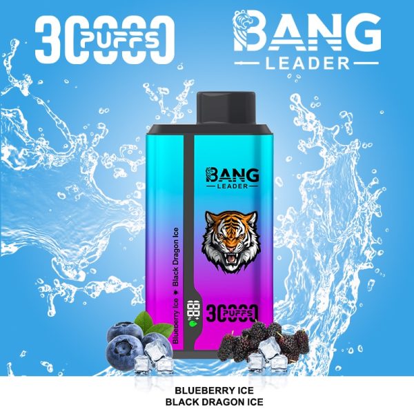 Bang Leader 30000 Puff | E cigi bolt Bang Leader 30000 Puff | E cigi bolt