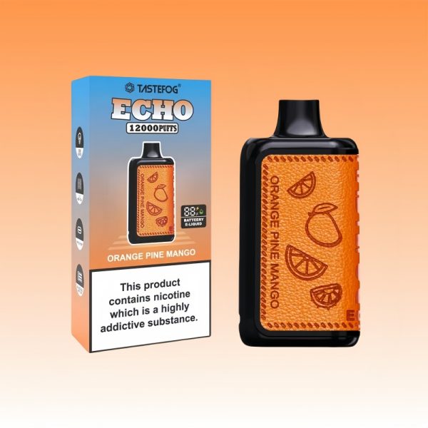 Tastefog Echo Digital Box 12000 Slukk | E cigi bolt Tastefog Echo Digital Box 12000 Slukk | E cigi bolt