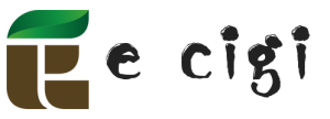 E cigi bolt logo