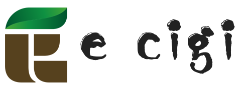 E cigi bolt logo