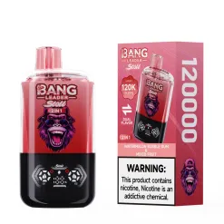 Bang Leader 120k Puffs | E cigi bolt Bang Leader 120k Puffs | E cigi bolt