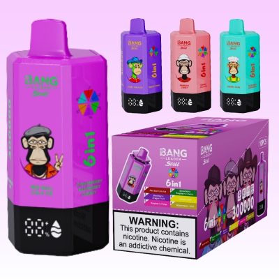 Bang Leader 300k Puffs | E cigi bolt Bang Leader 300k Puffs | E cigi bolt